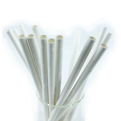 Biodegradable Bamboo Straw