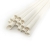 Biodegradable Bamboo Straw