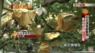 台灣向錢衝 Part4 知名速食都愛用 食品紙袋隱形冠軍