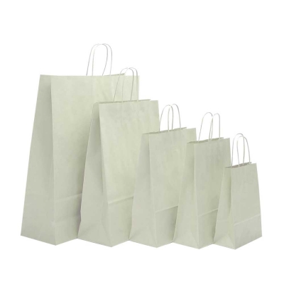 Twisted Handle Paper Carry Bag