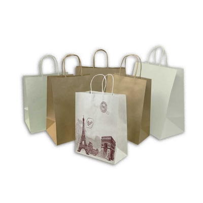 Twisted Handle Paper Carry Bag