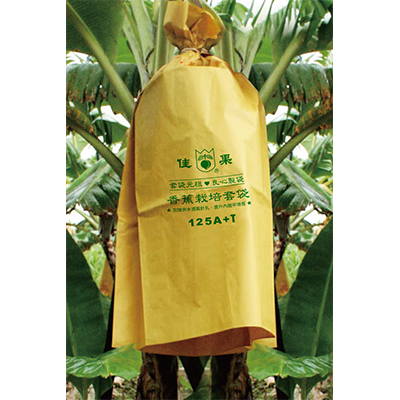 Banana Bag