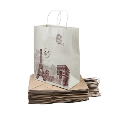 Twisted Handle Paper Carry Bag