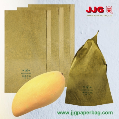 RT24-4538-BL Mango bag